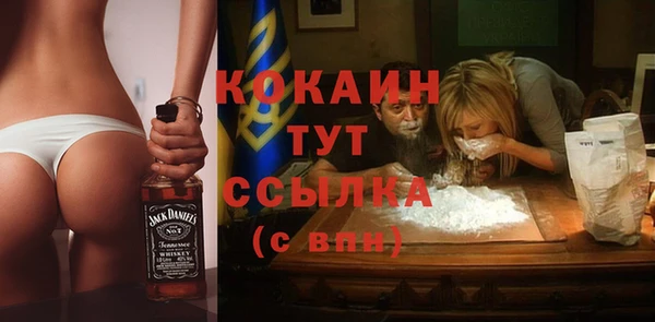 молекула духа Алзамай