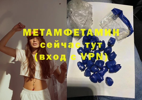 гидра Каменка