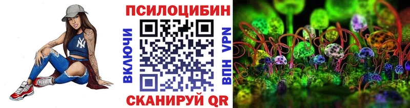 наркота  Алушта  Галлюциногенные грибы Cubensis 